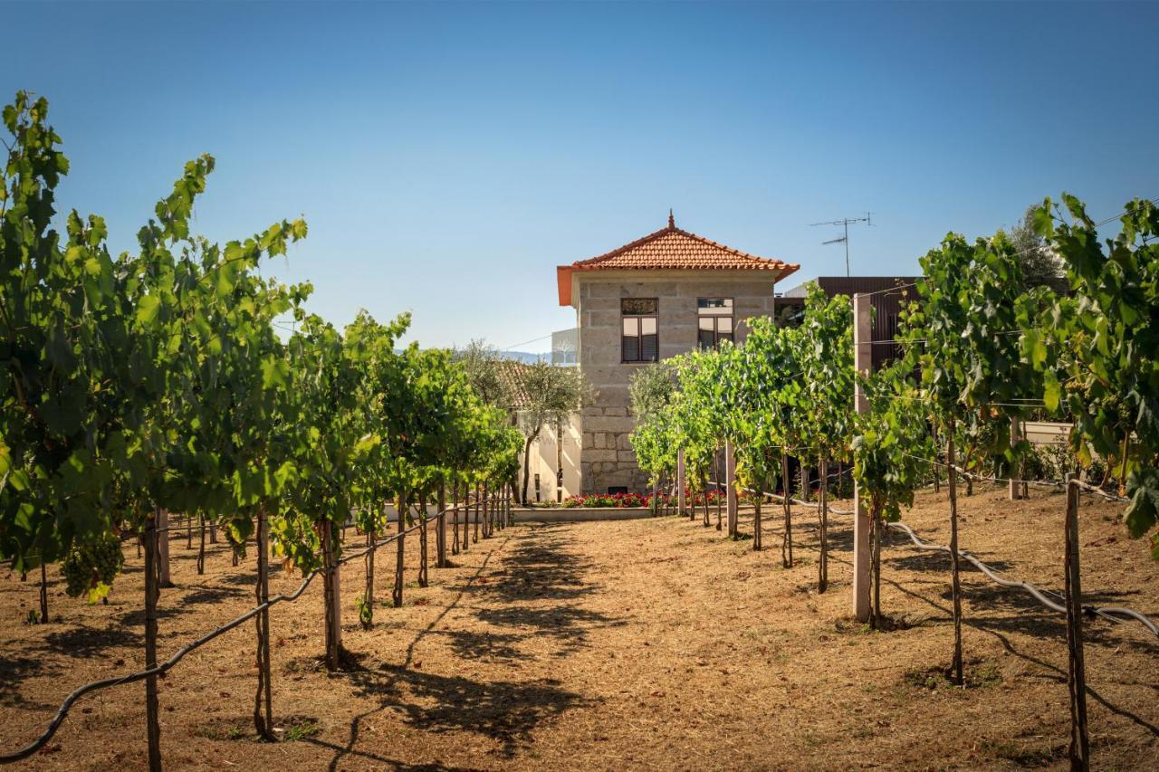 Quinta Do Aido - Winetourism Villa Cinfaes Exterior photo